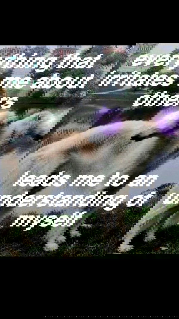 zommmbri image ~ Altpins