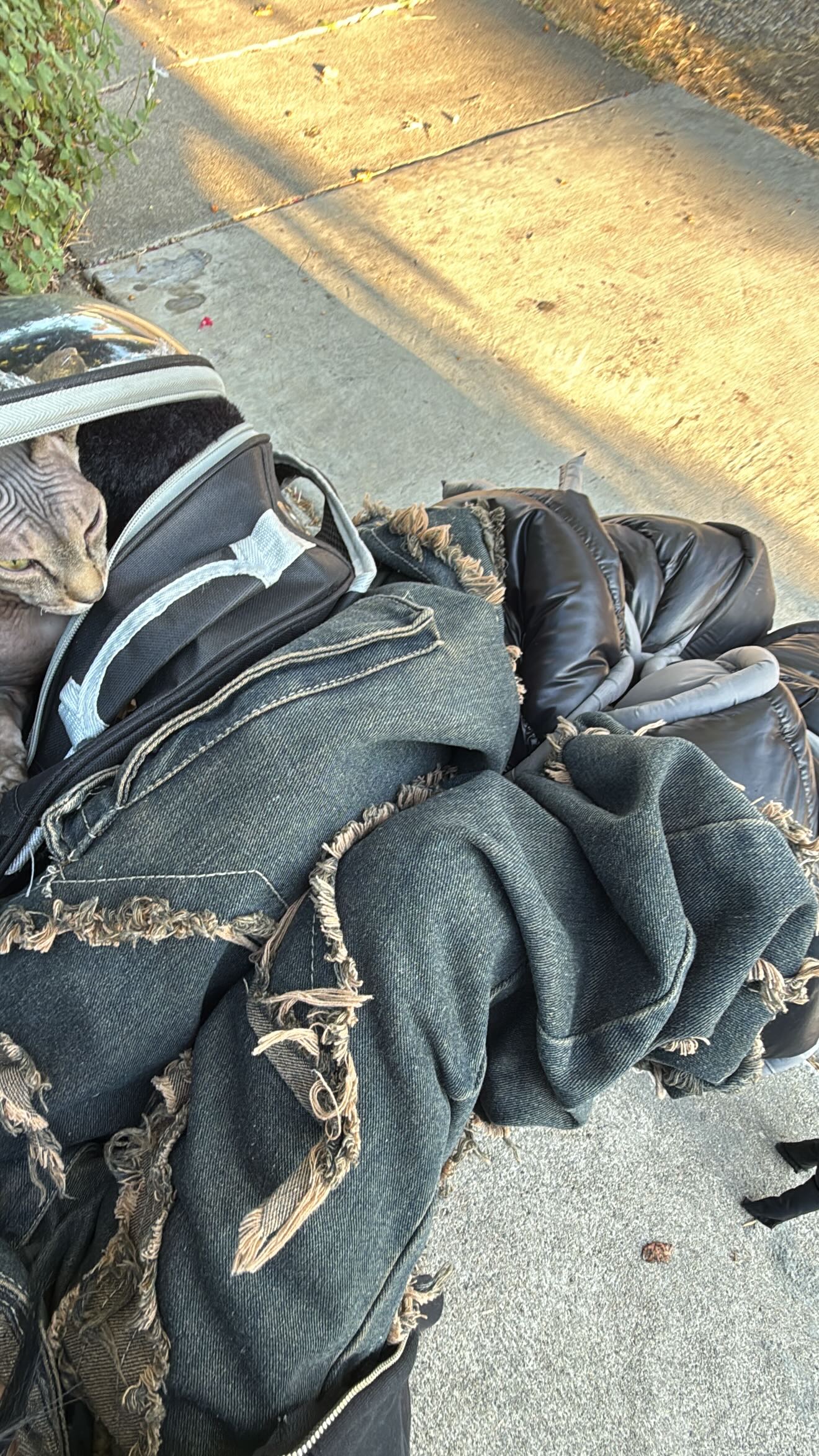 zommmbri instagram image archive image