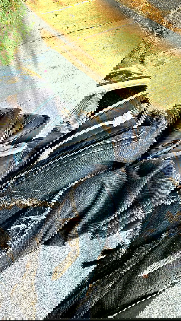 zommmbri image ~ Altpins