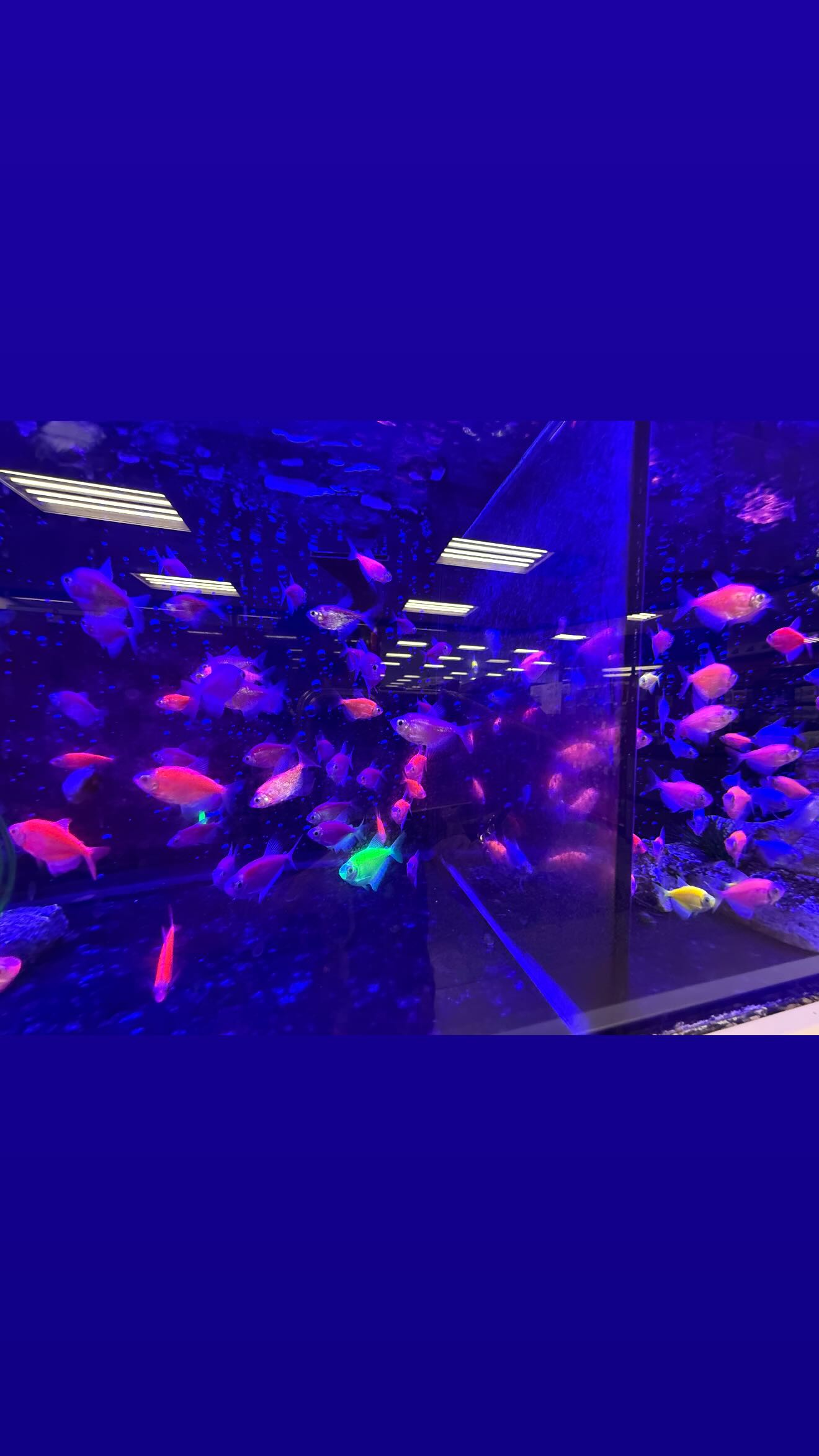 zommmbri instagram image archive image