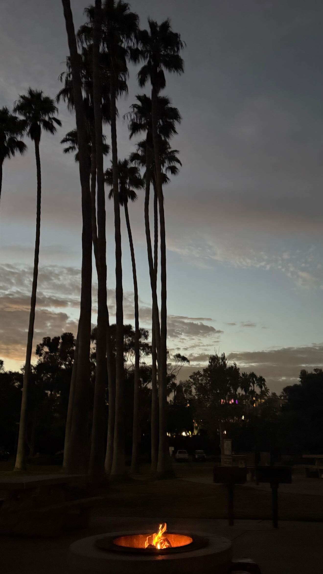 zommmbri instagram image archive image