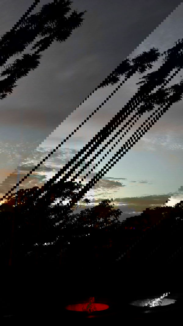 zommmbri image ~ Altpins