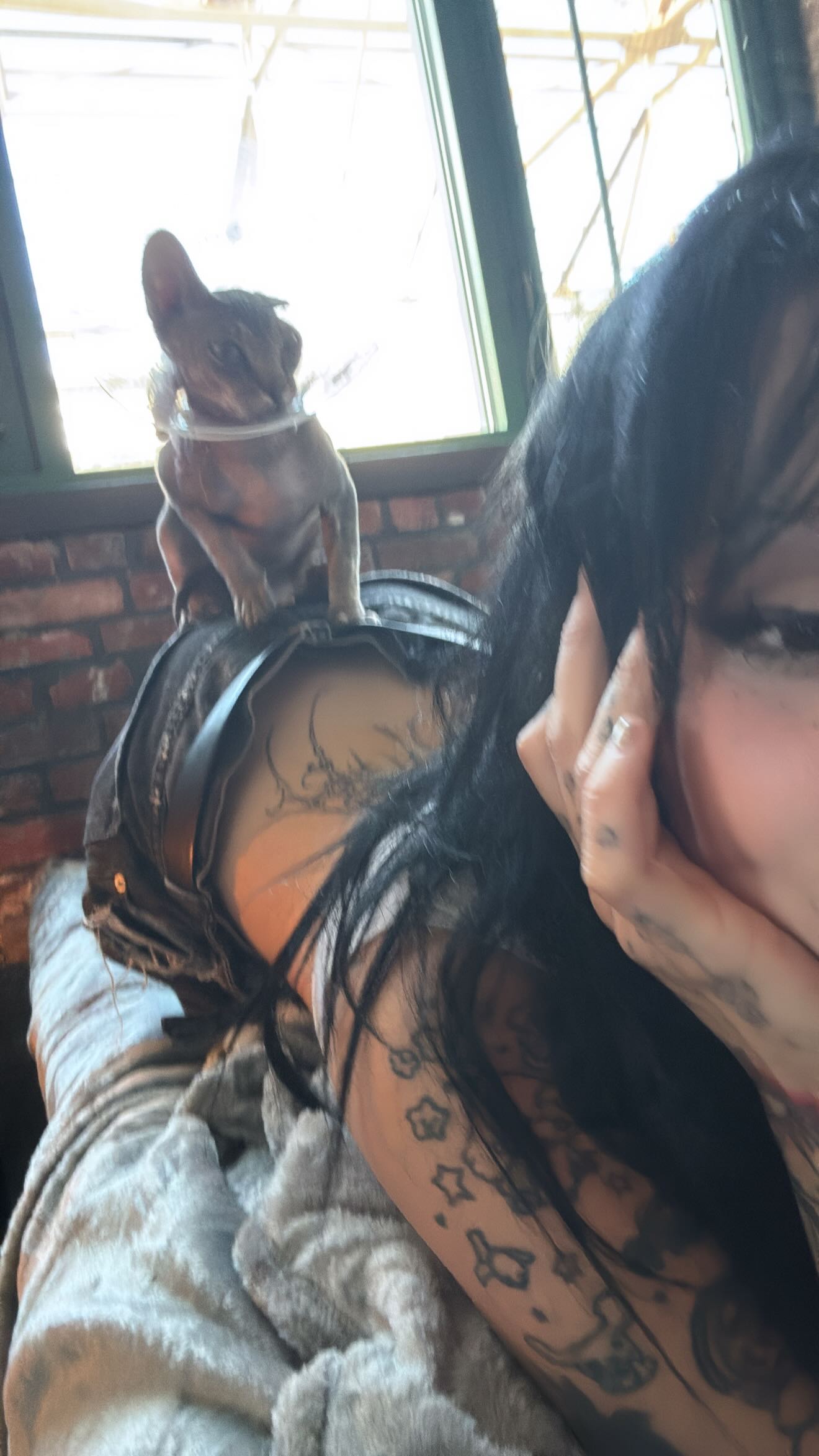 zommmbri instagram image archive image