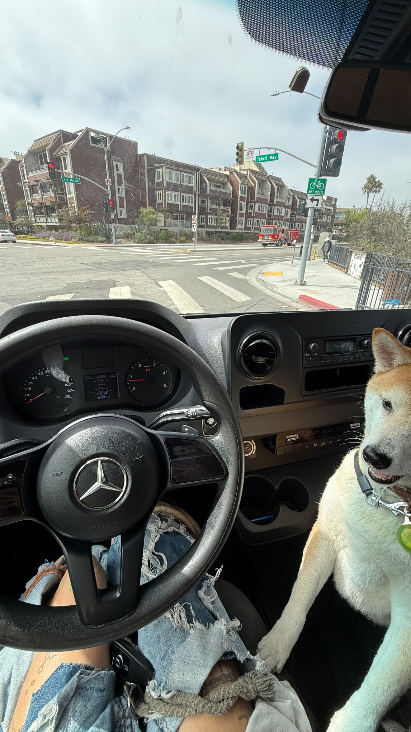 zommmbri instagram image archive image