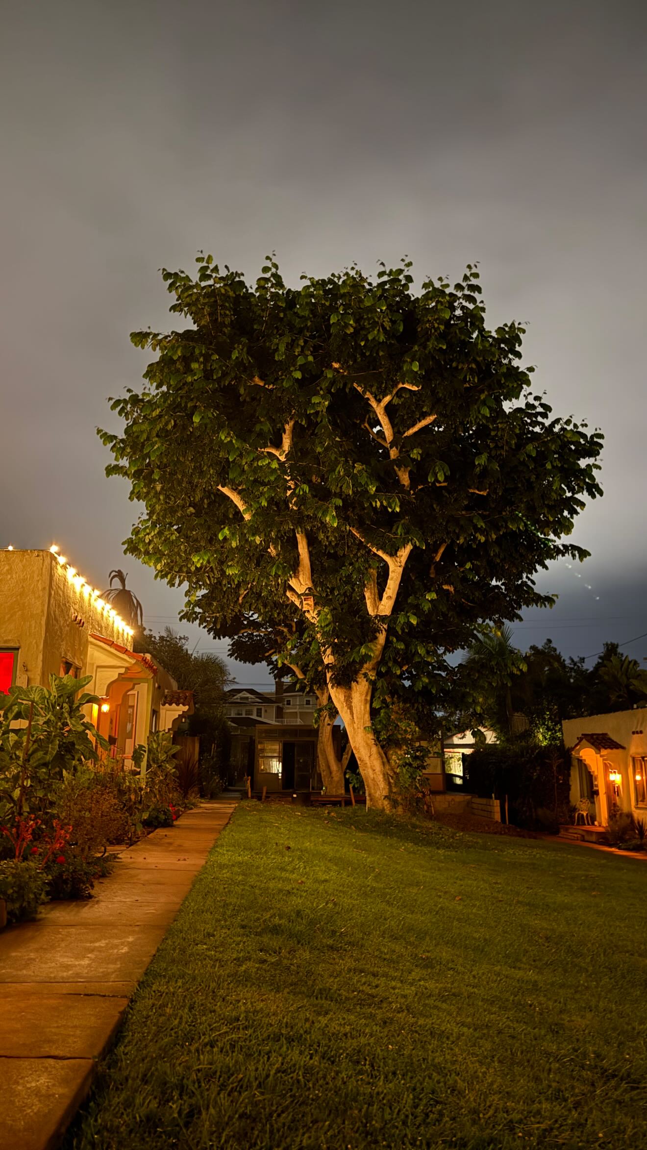 zommmbri instagram image archive image