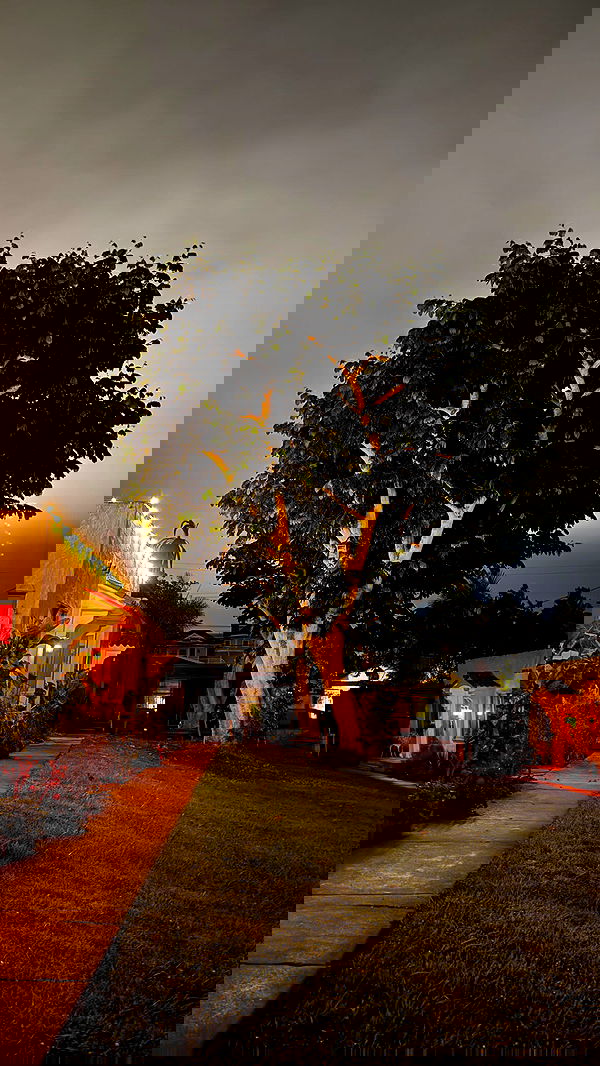 zommmbri image ~ Altpins