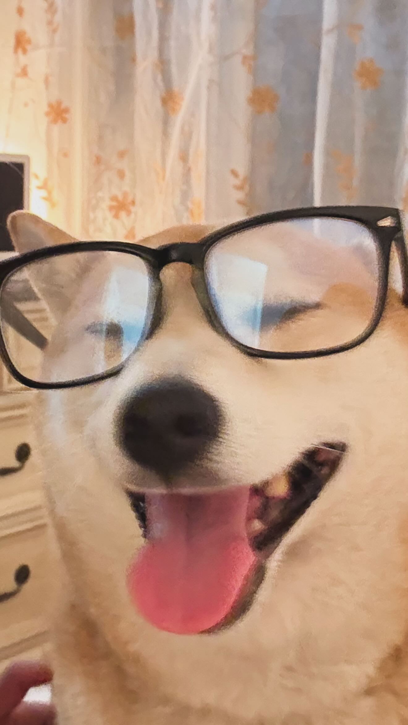 zommmbri instagram image archive image