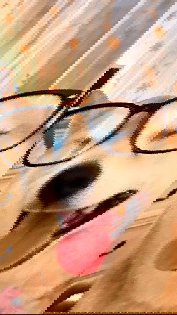 zommmbri image ~ Altpins