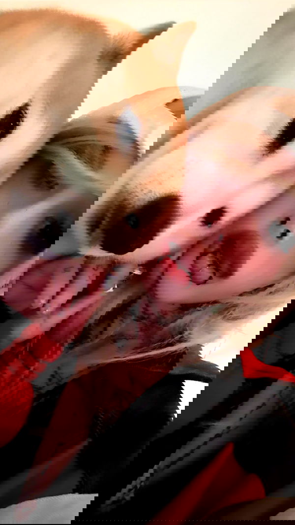 zommmbri image ~ Altpins