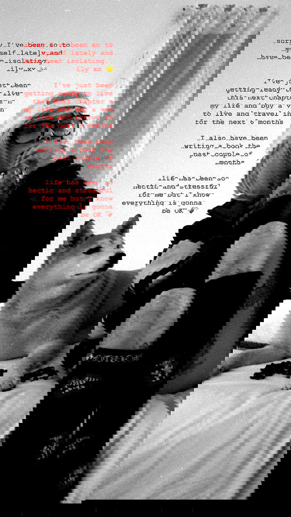 zommmbri image ~ Altpins