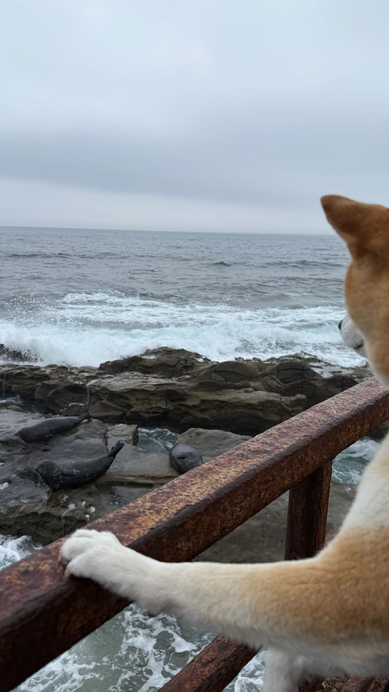 zommmbri instagram image archive image