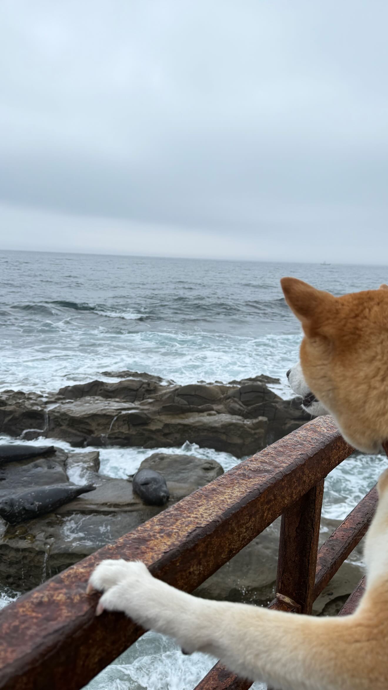 zommmbri instagram image archive image