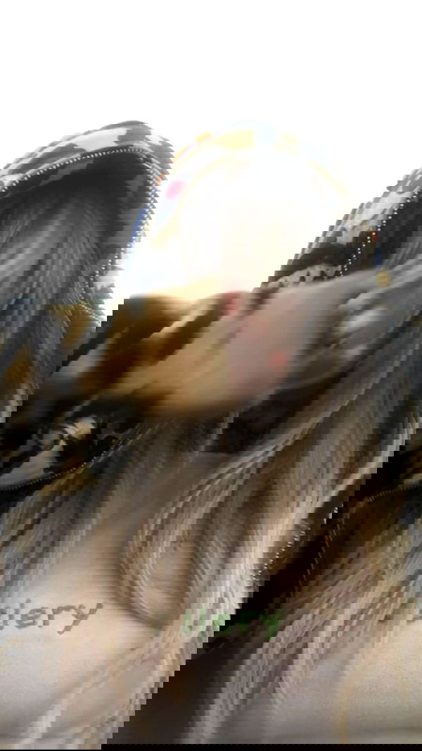 zommmbri image ~ Altpins