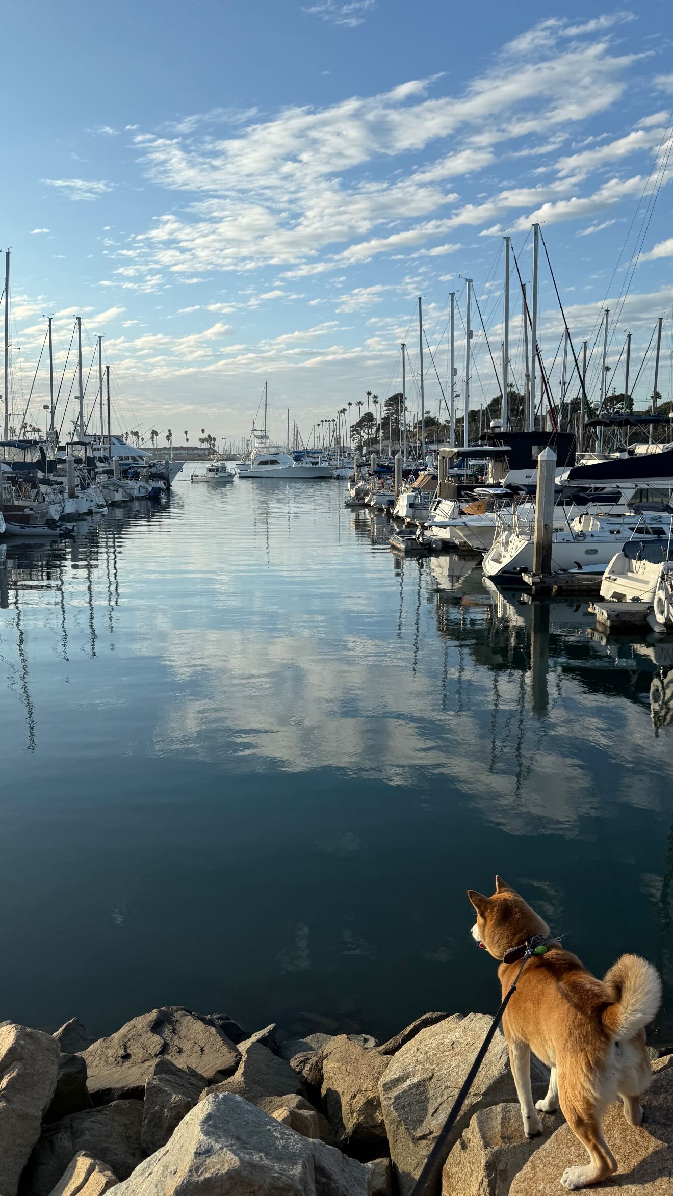 zommmbri instagram image archive image