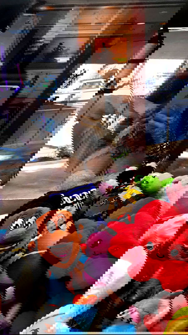 zommmbri image ~ Altpins