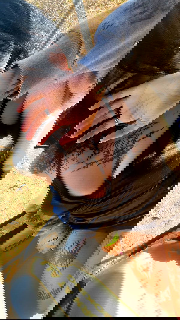 zommmbri image ~ Altpins