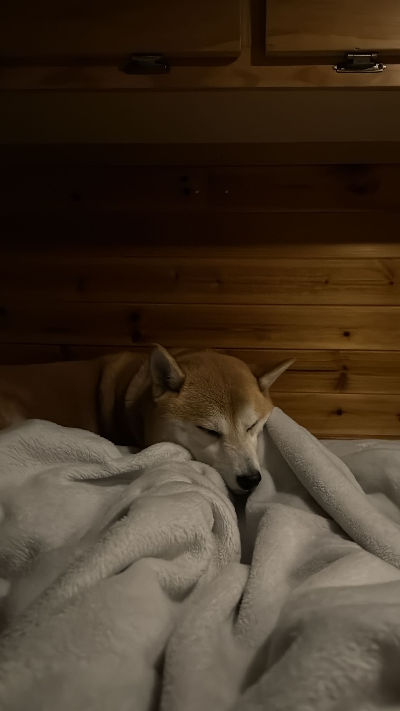 zommmbri instagram image archive image