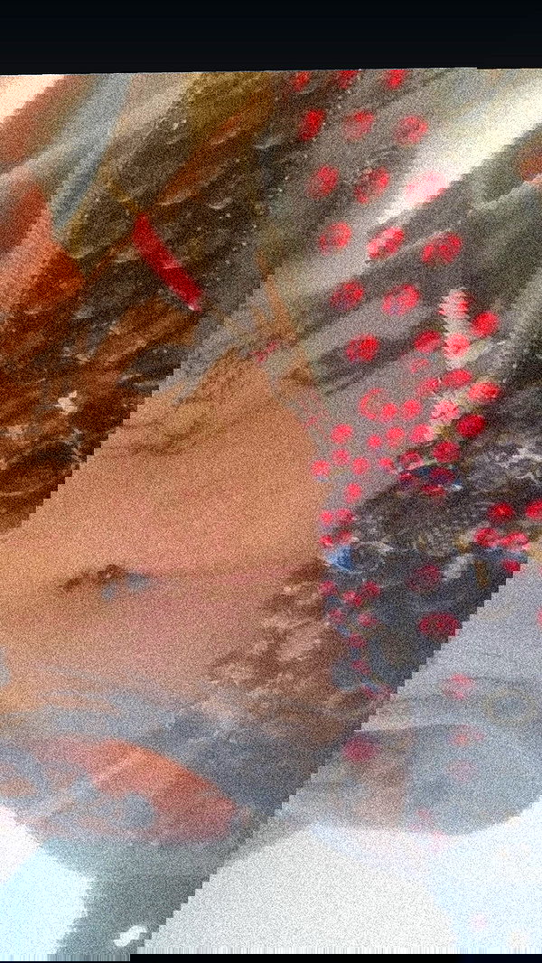 zommmbri image ~ Altpins