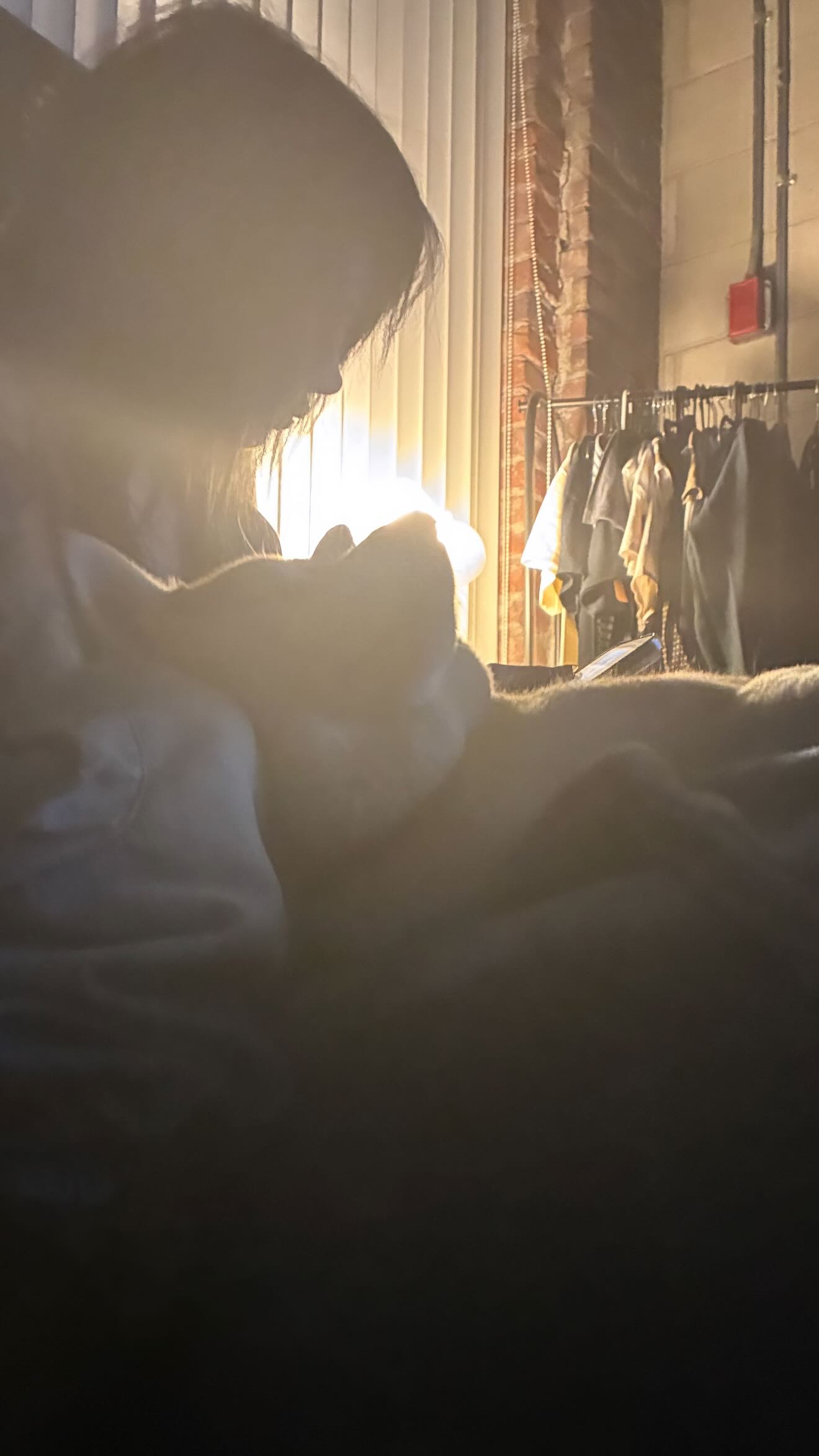 zommmbri instagram image archive image