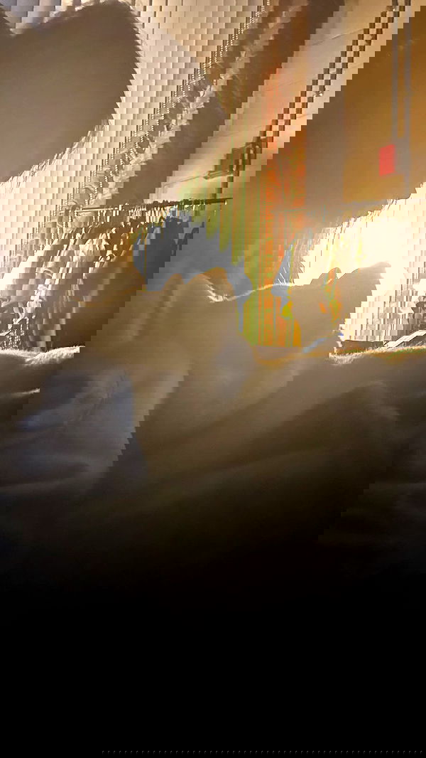 zommmbri image ~ Altpins