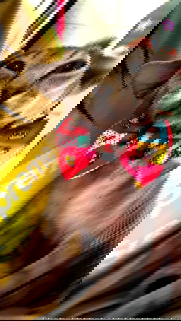 zommmbri image ~ Altpins