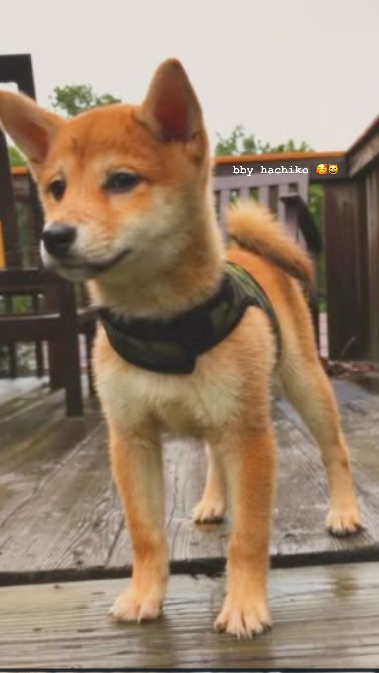 zommmbri instagram image archive image