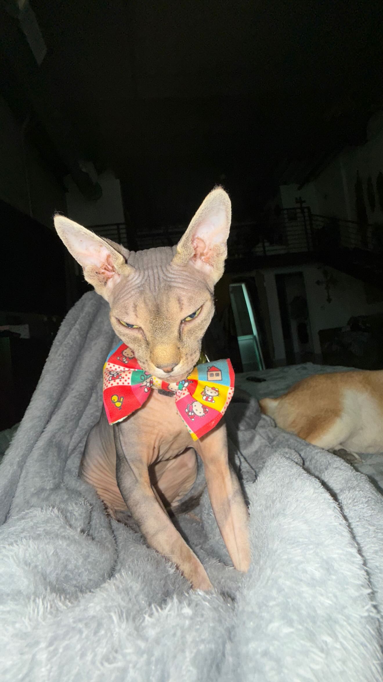 zommmbri instagram image archive image