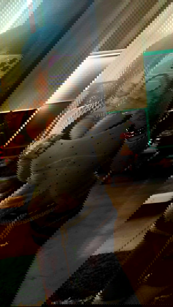 zommmbri image ~ Altpins