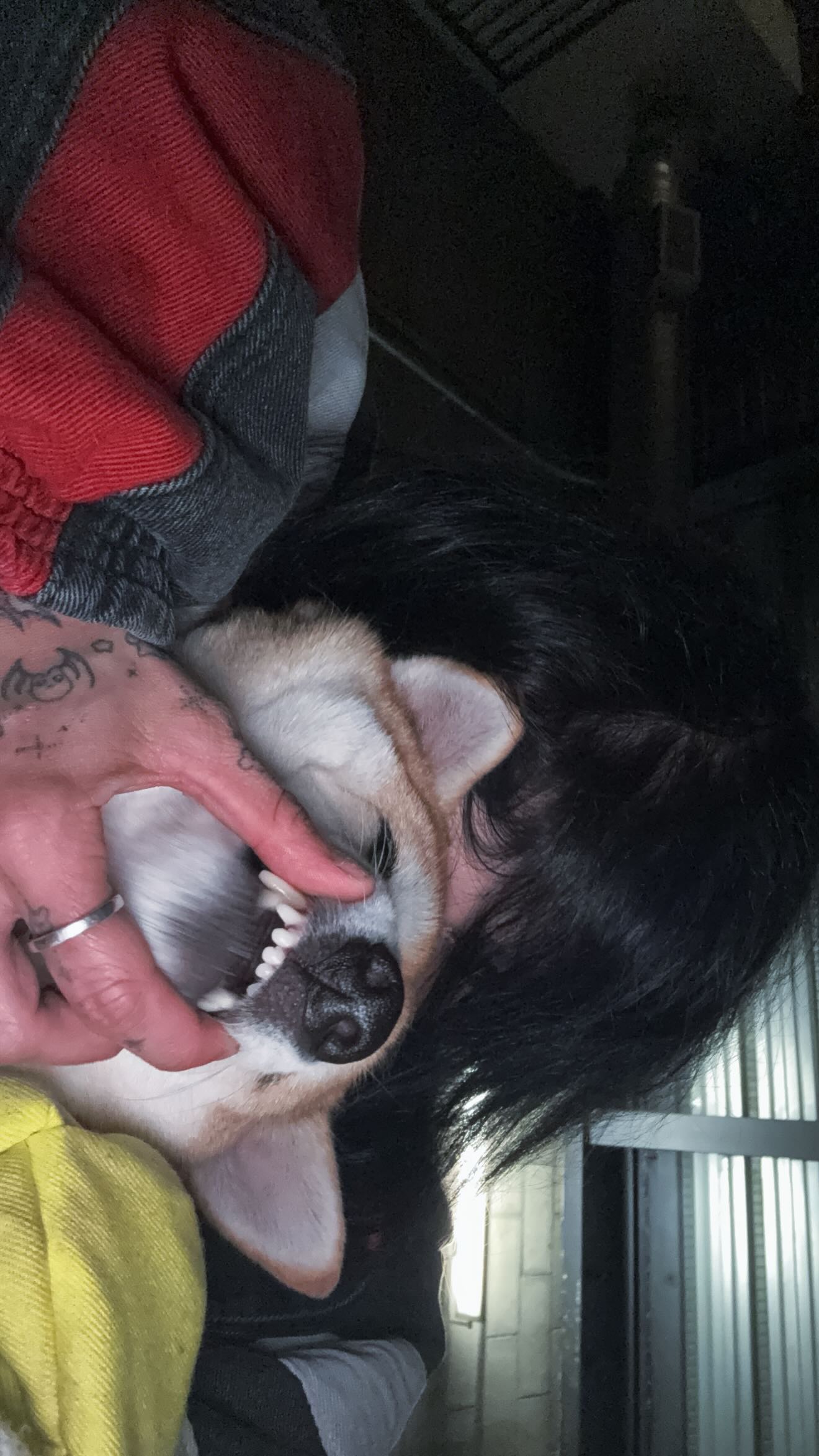 zommmbri instagram image archive image