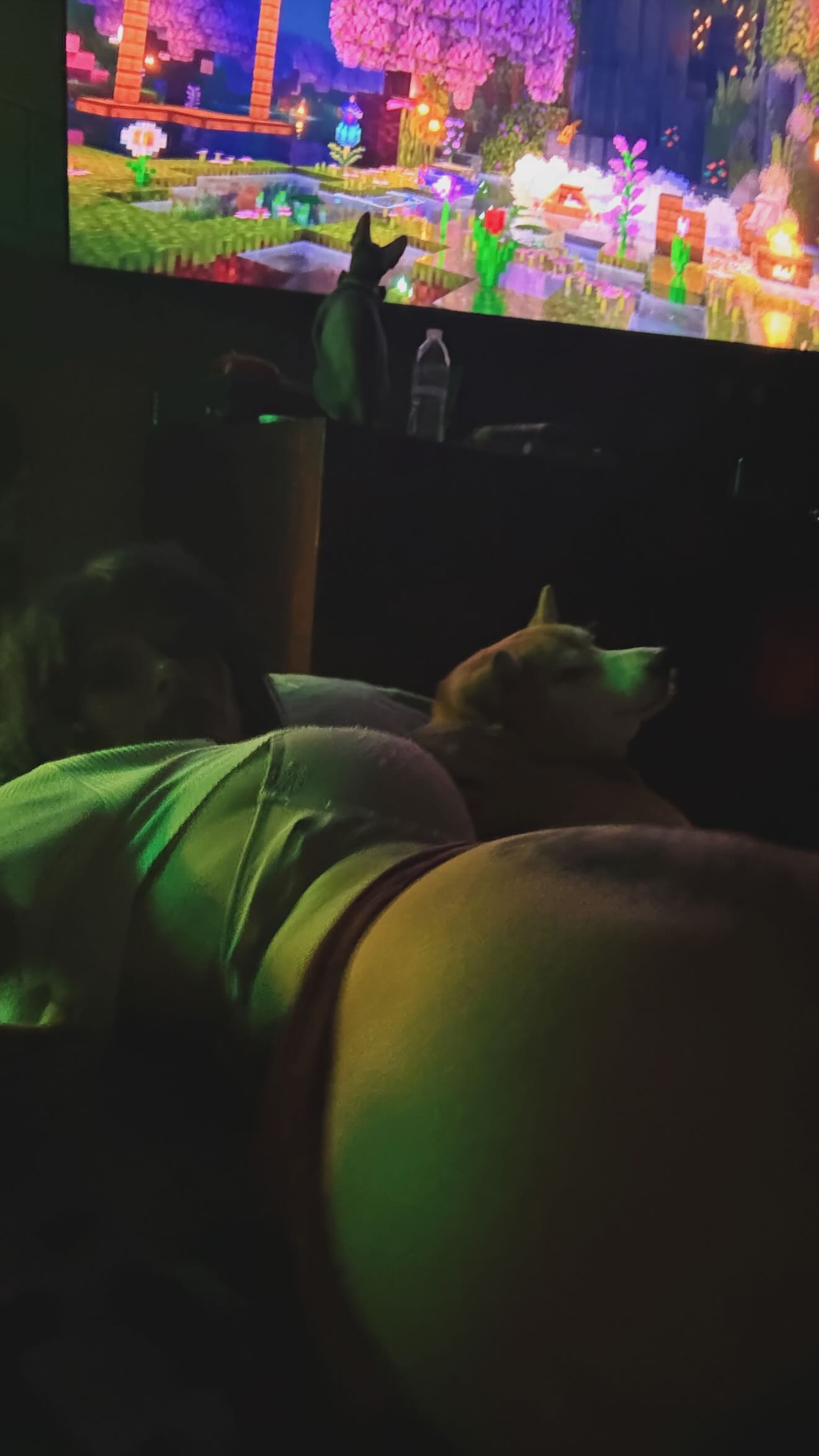 zommmbri instagram image archive image