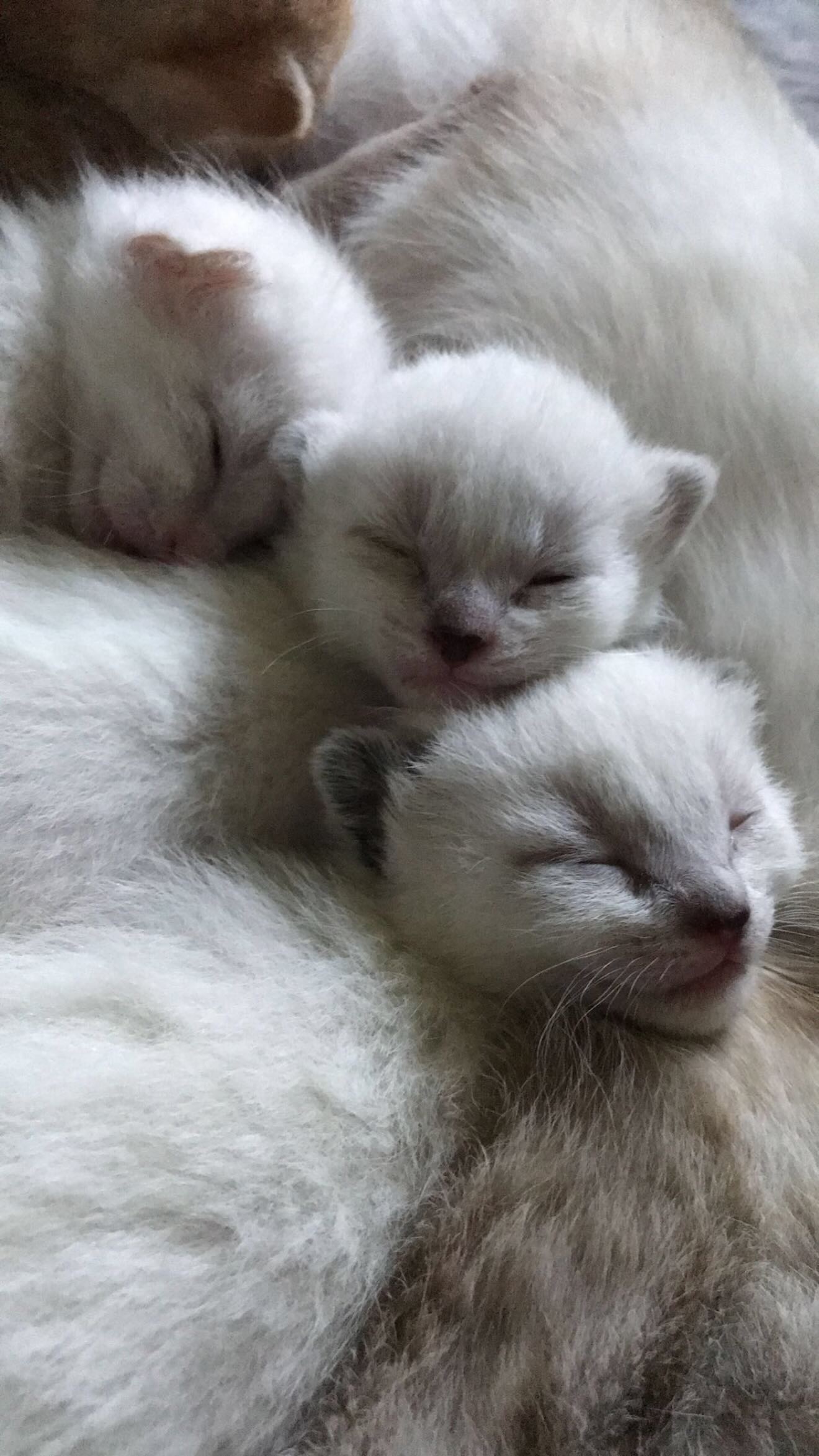 zommmbri instagram image archive image