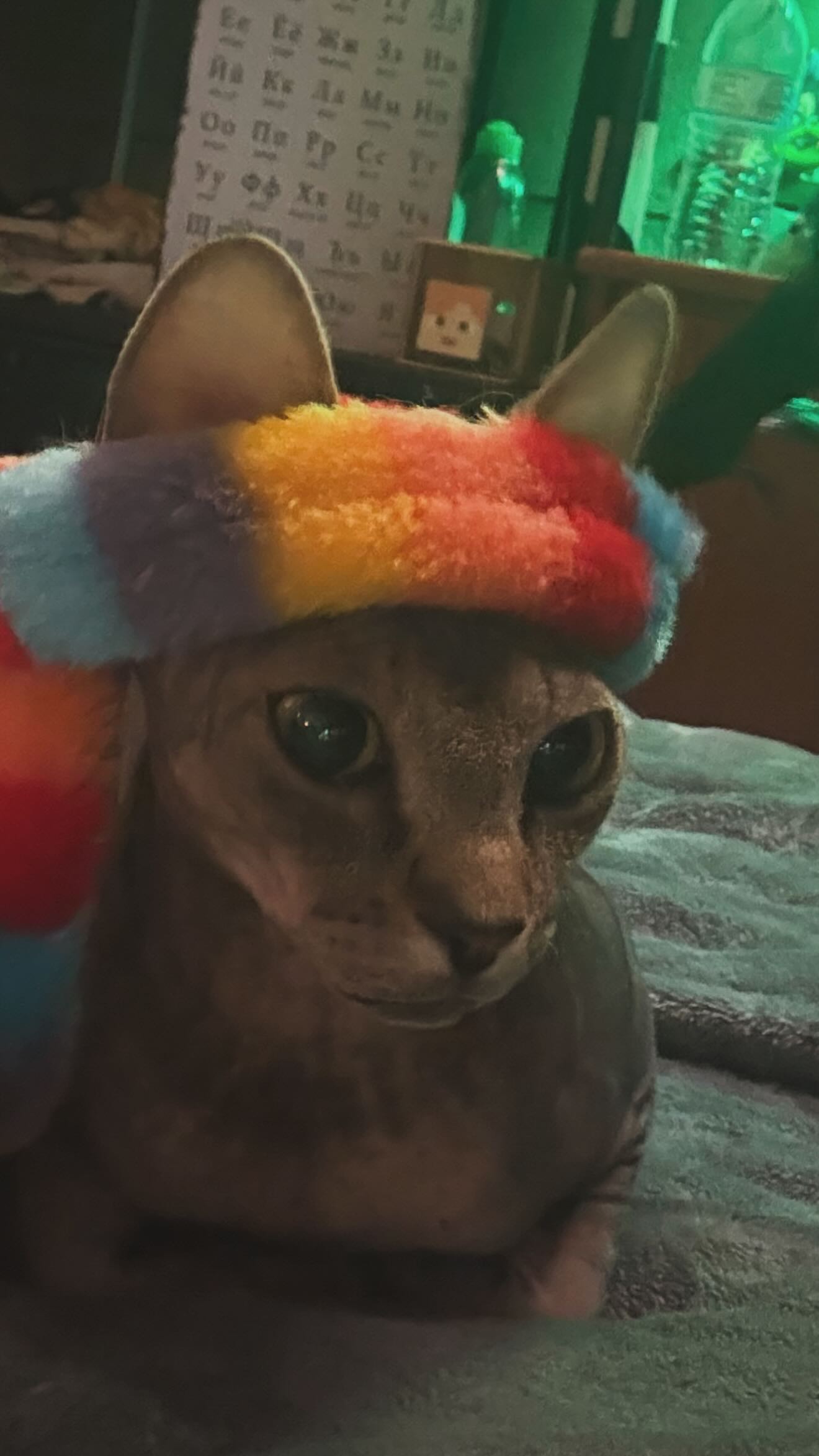 zommmbri instagram image archive image