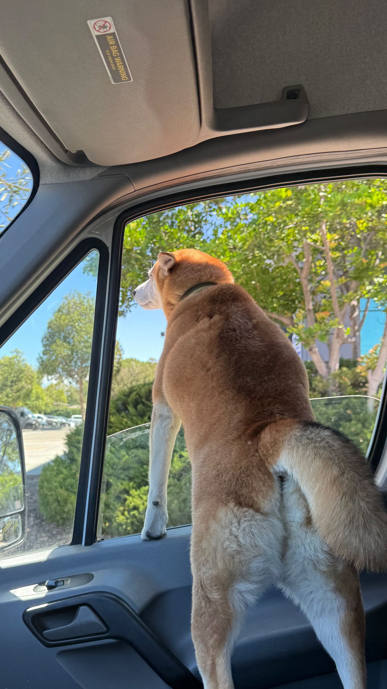 zommmbri instagram image archive image