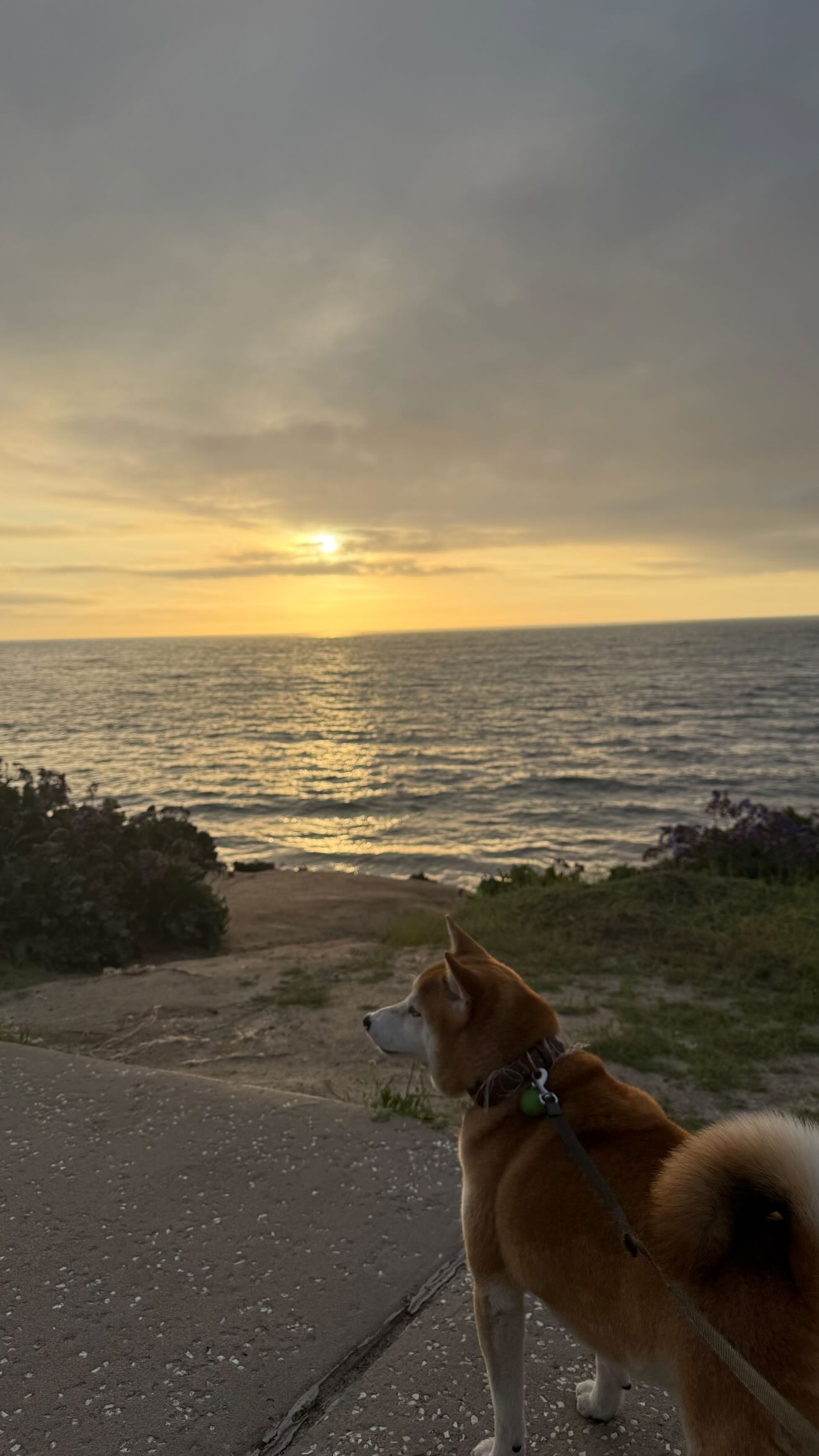 zommmbri instagram image archive image