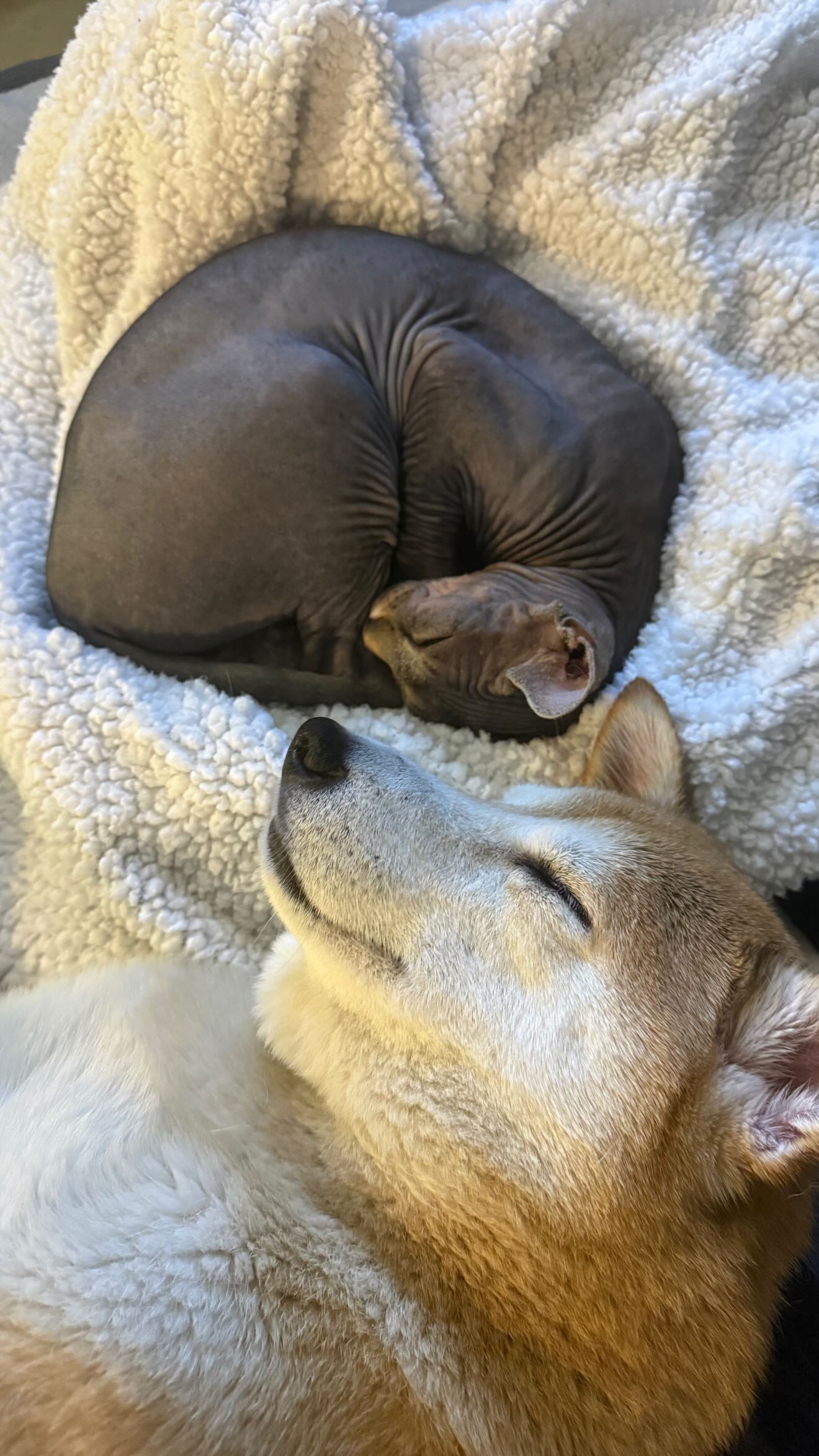 zommmbri instagram image archive image