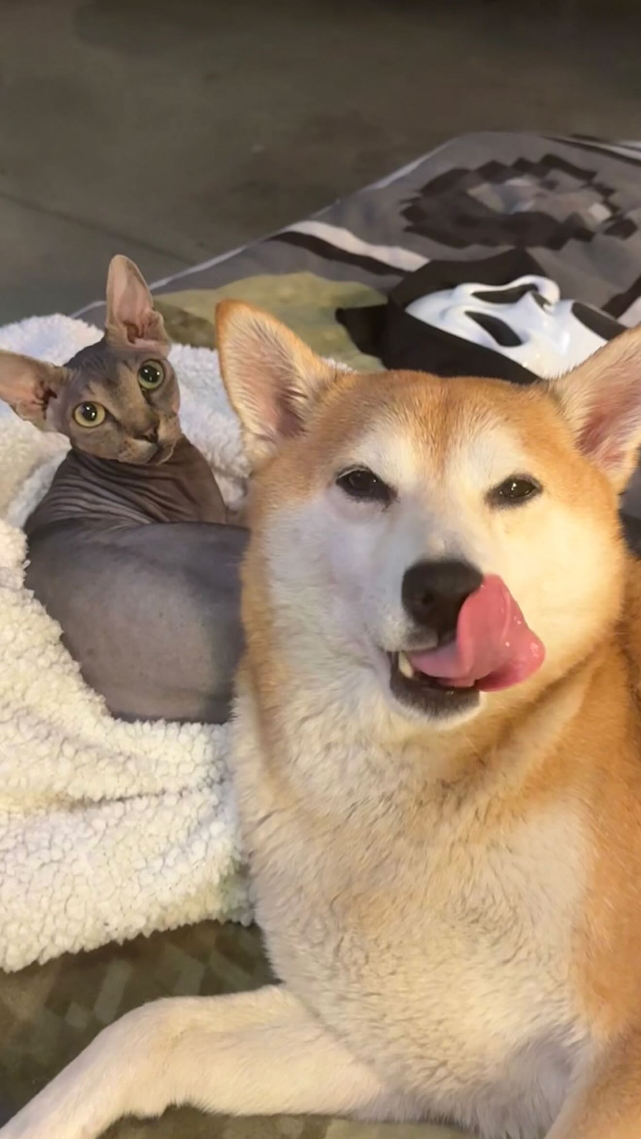 zommmbri instagram image archive image