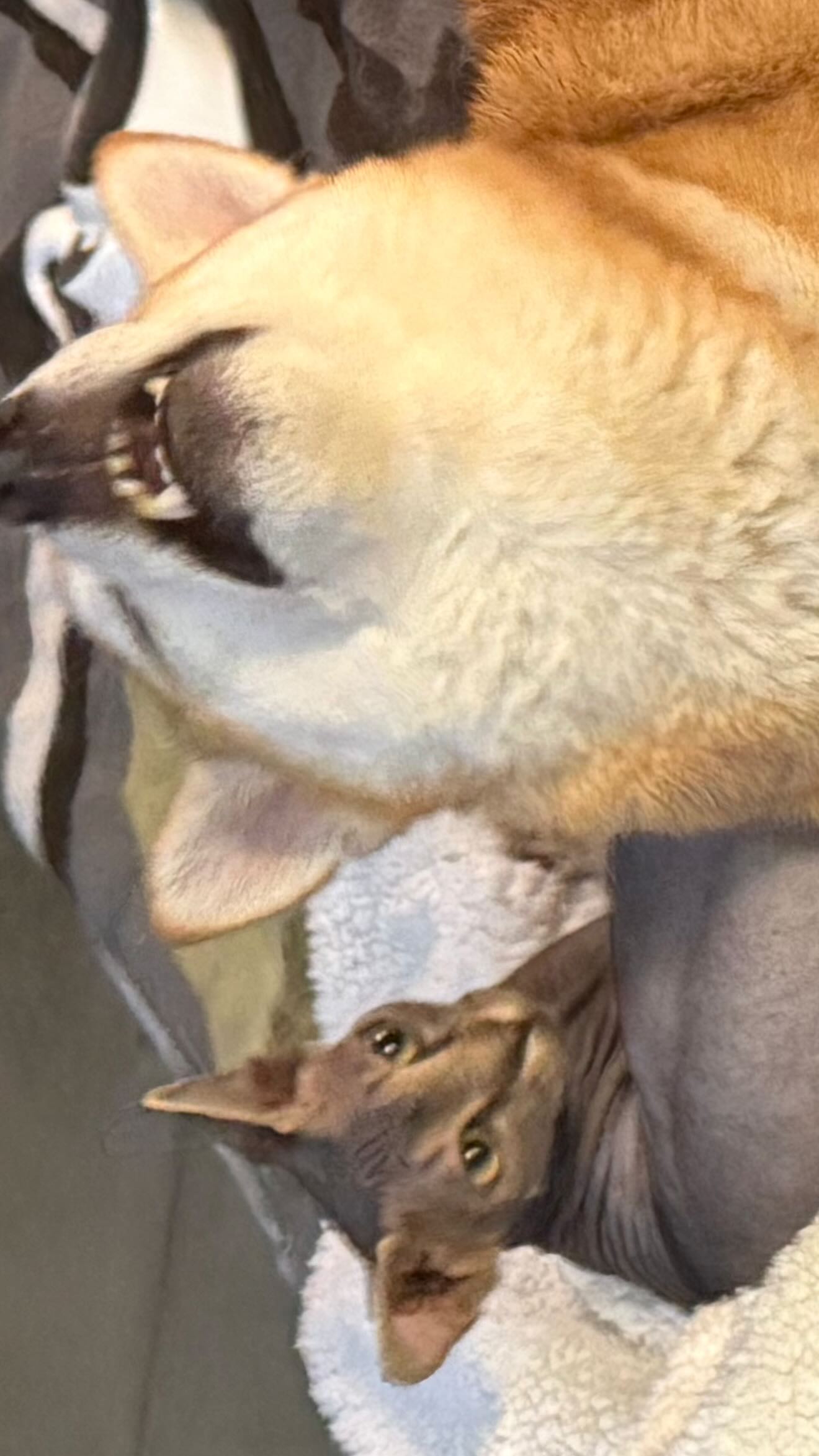 zommmbri instagram image archive image