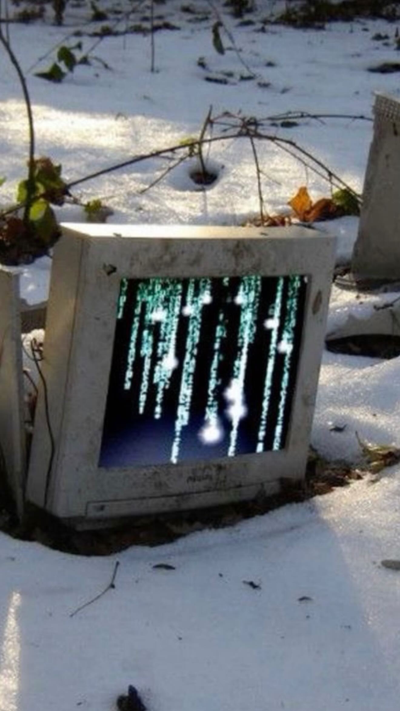 zommmbri instagram image archive image