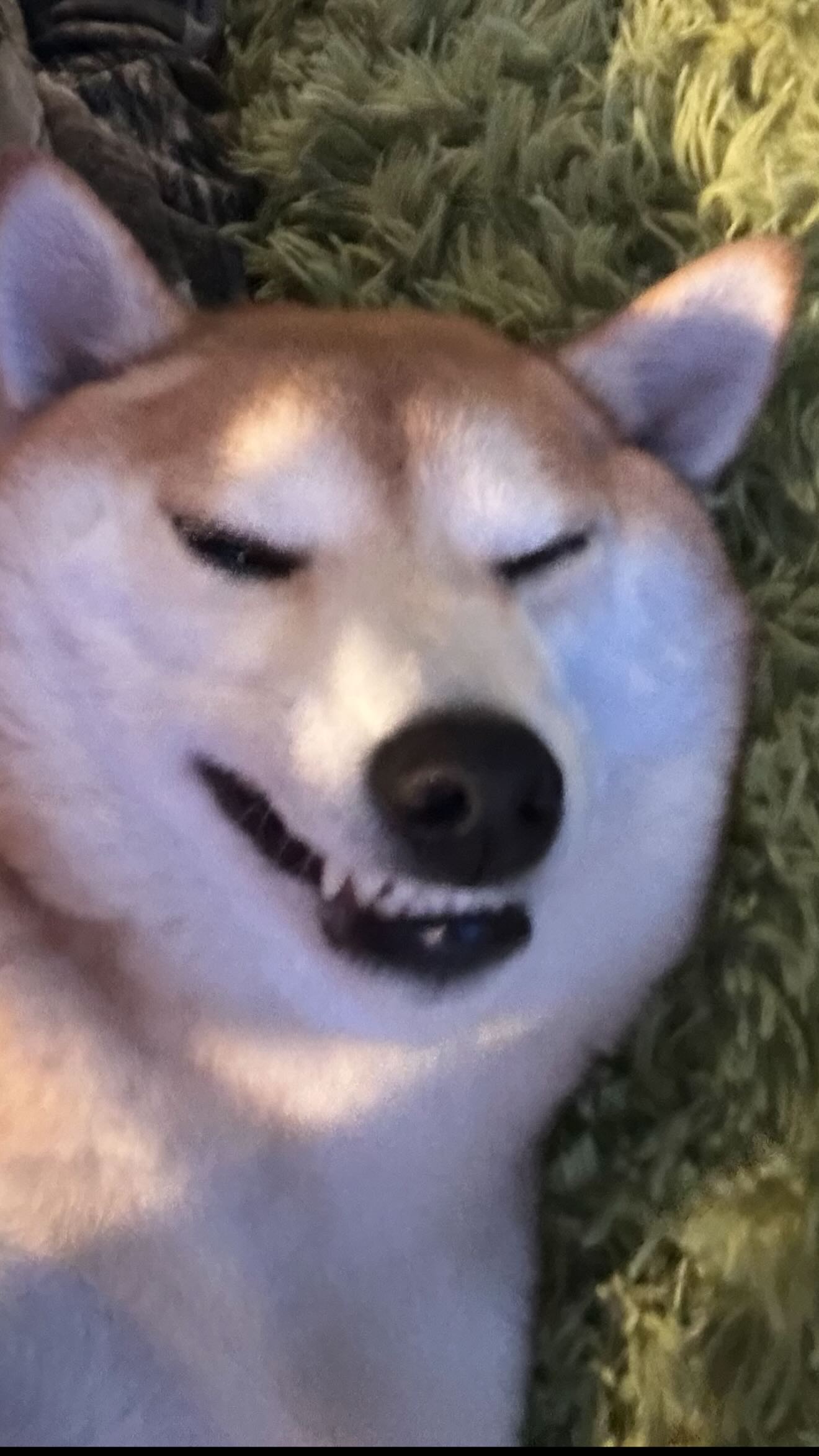 zommmbri instagram image archive image