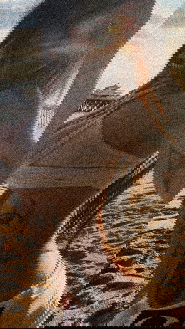 zommmbri image ~ Altpins