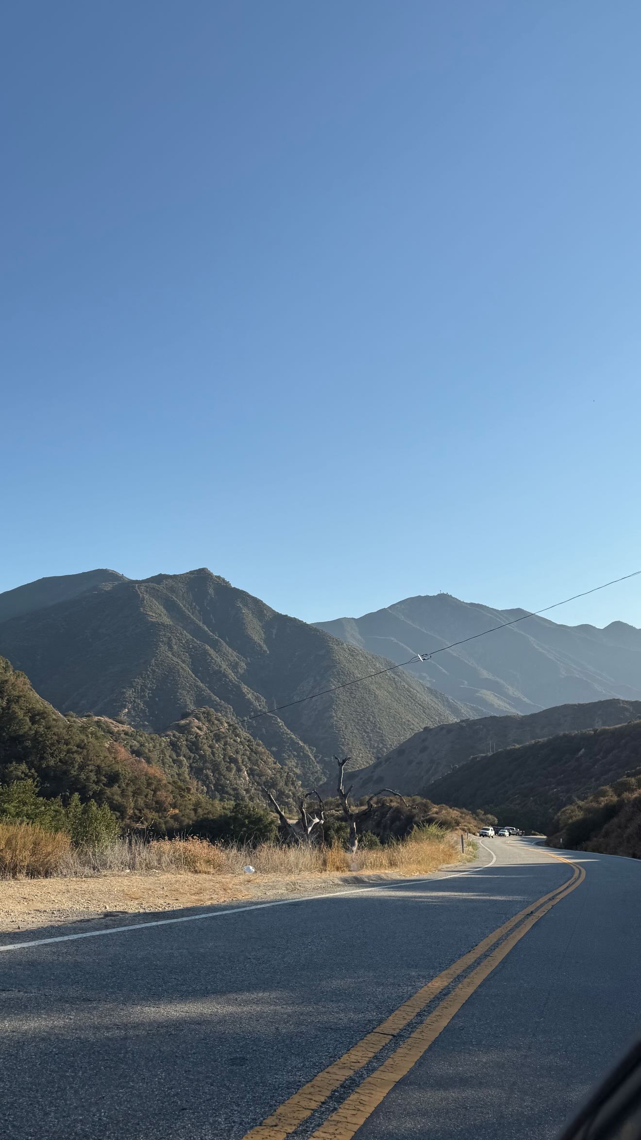 zommmbri instagram image archive image