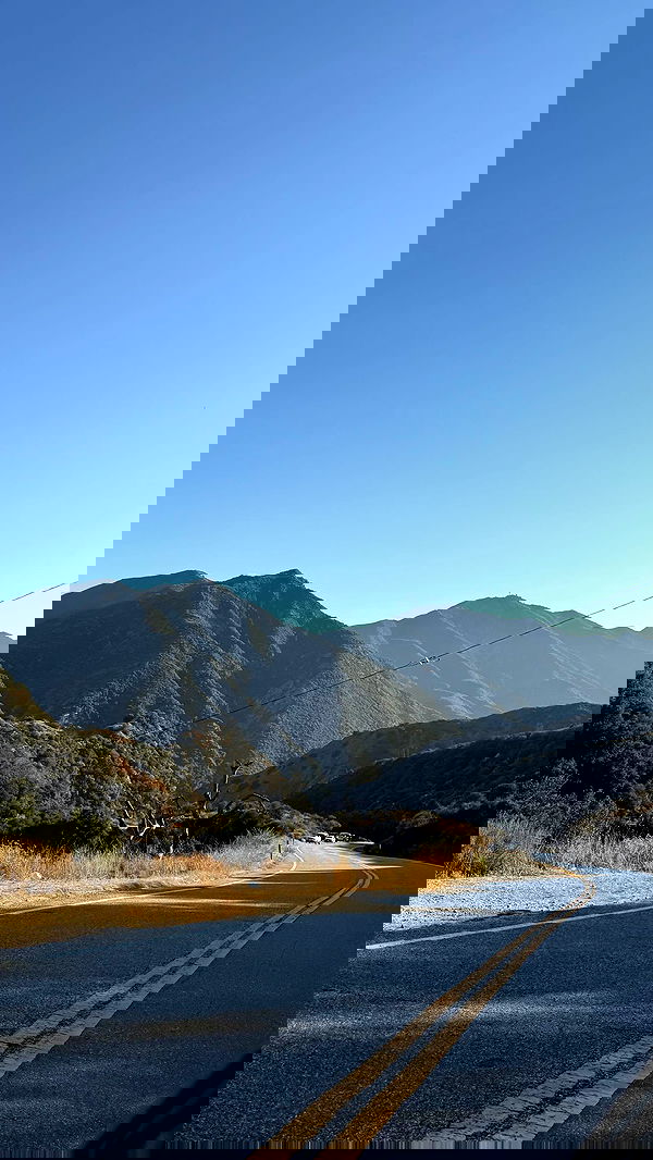 zommmbri image ~ Altpins