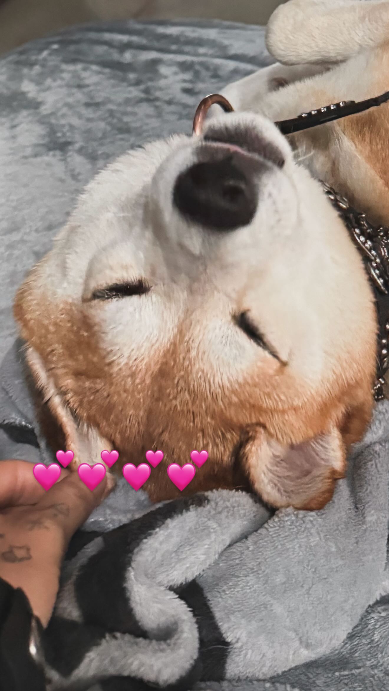 zommmbri instagram image archive image