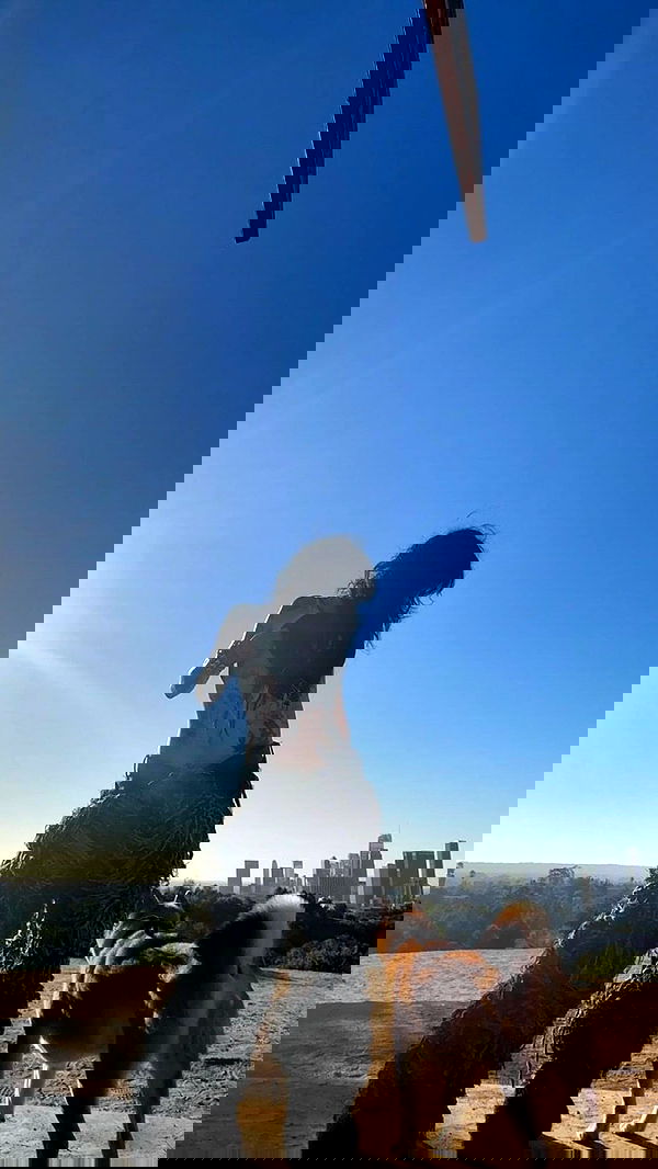 zommmbri image ~ Altpins