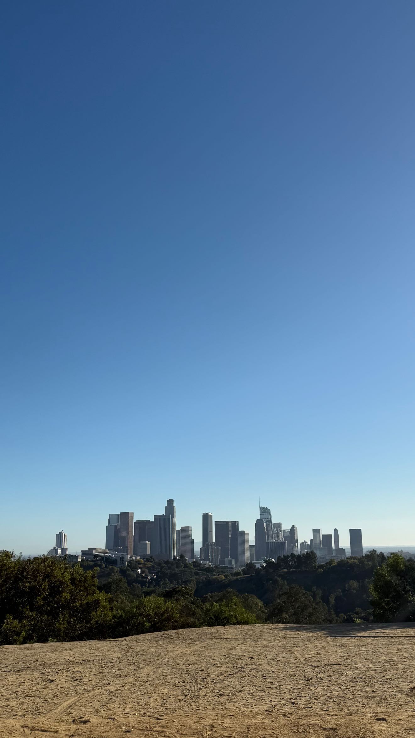 zommmbri instagram image archive image