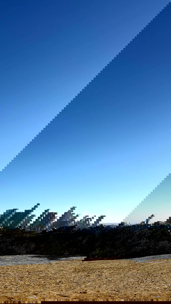 zommmbri image ~ Altpins