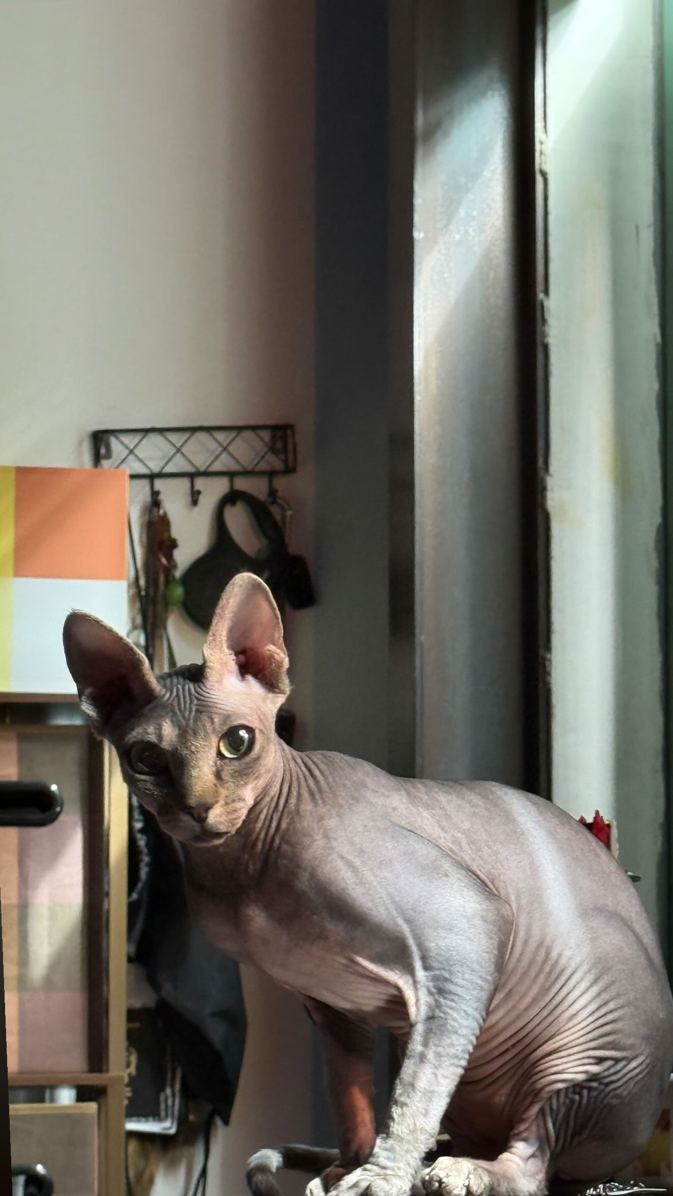 zommmbri instagram image archive image