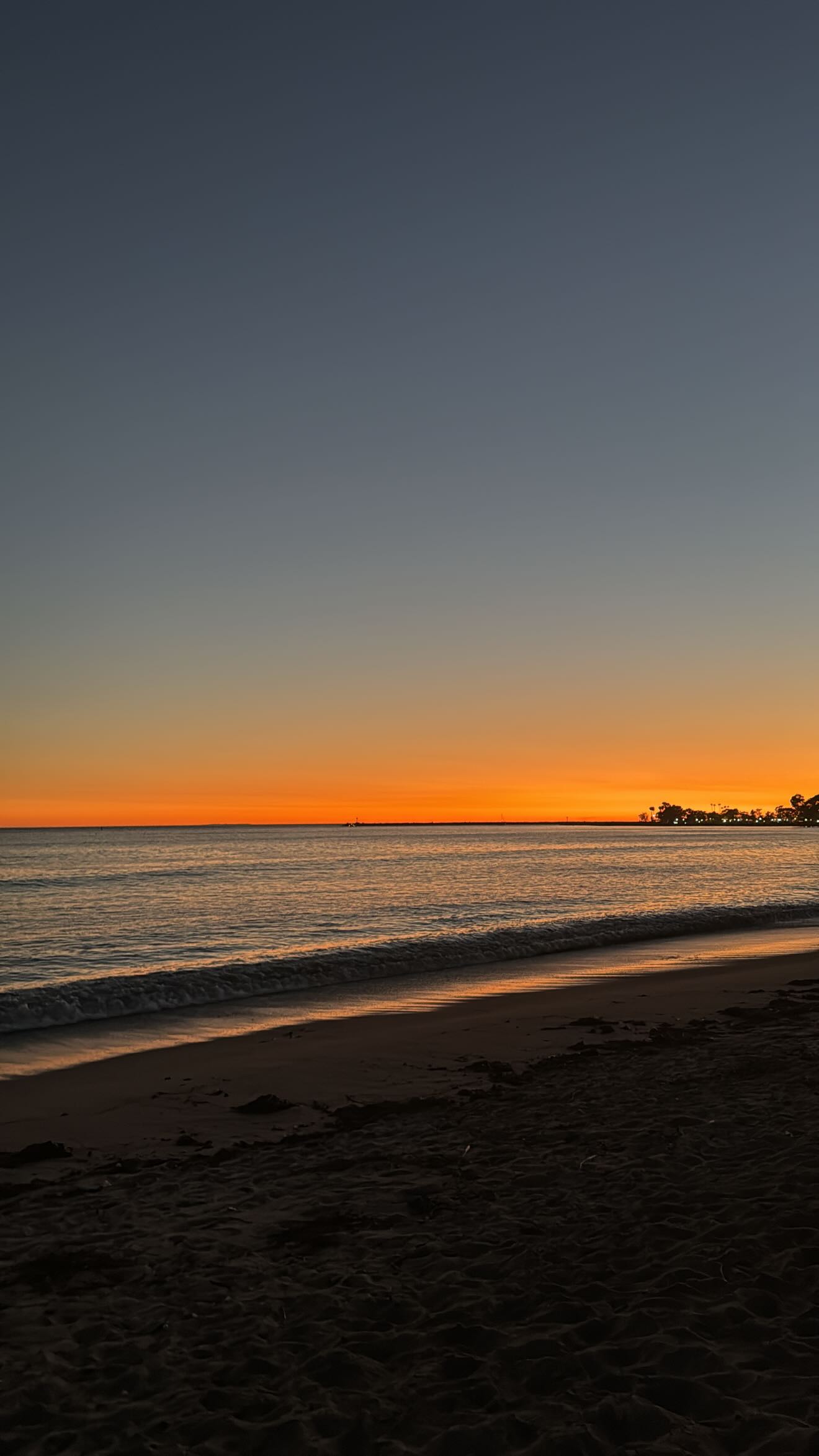 zommmbri instagram image archive image