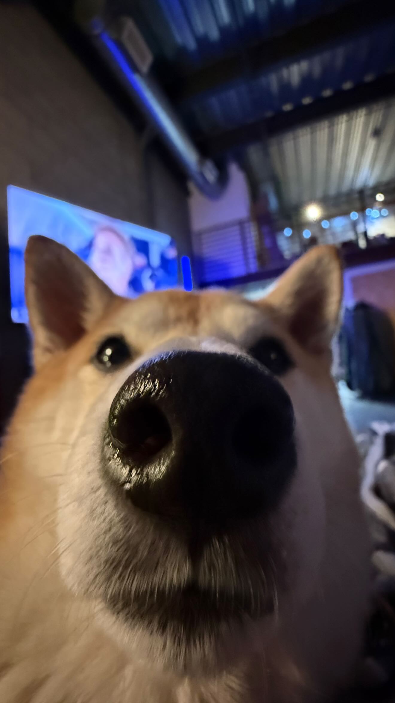 zommmbri instagram image archive image