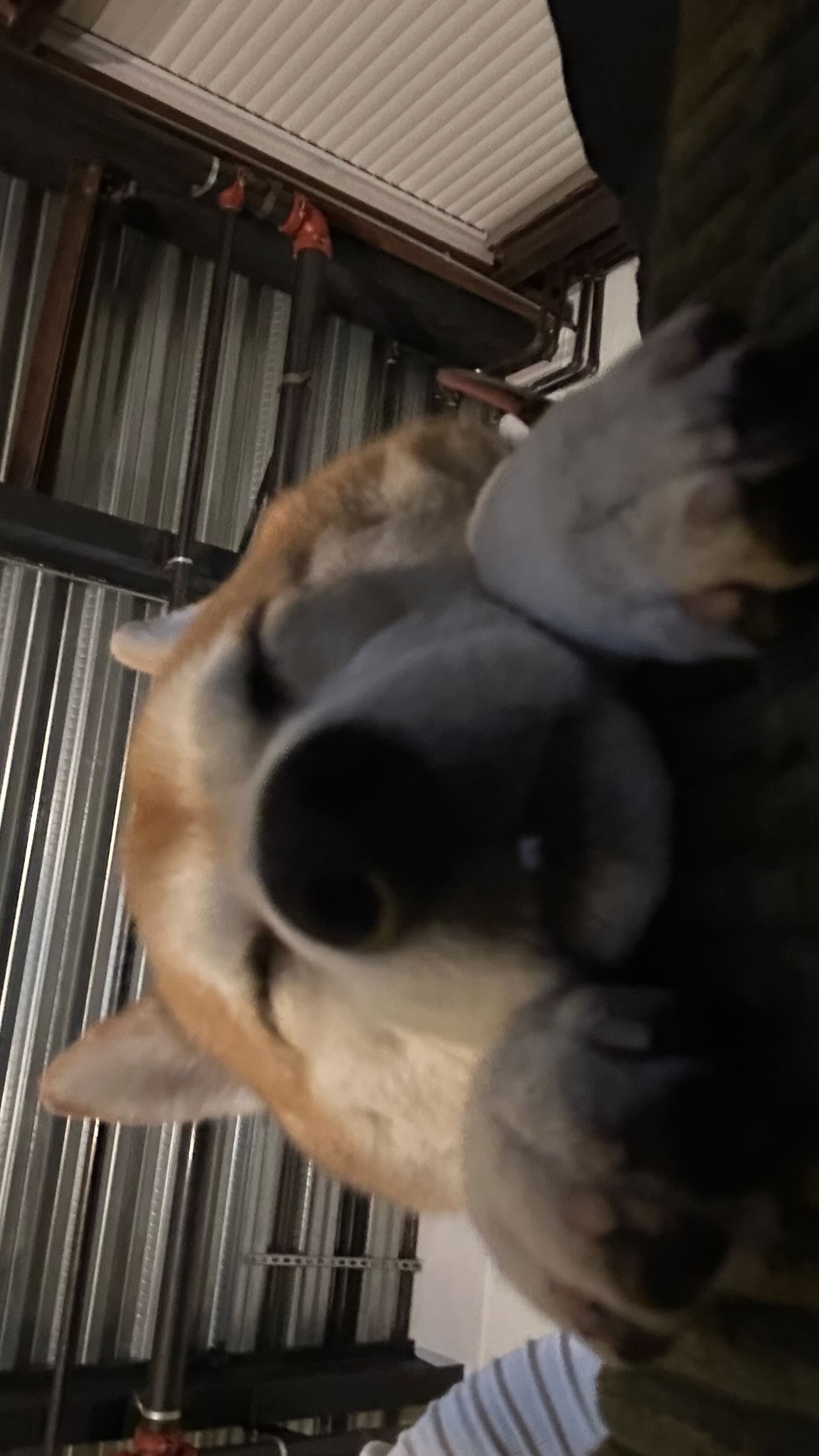 zommmbri instagram image archive image